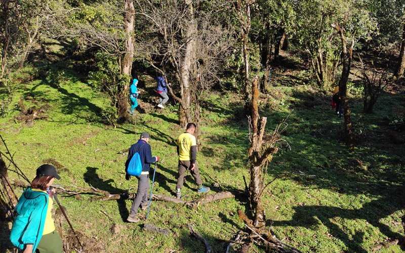 Tour trekking là lựa chọn tuyệt vời để khám phá vẻ đẹp thiên nhiên Việt Nam